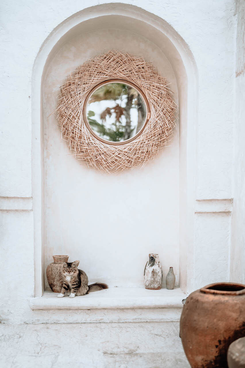 9c3a61afe2876554f3a25d03991dfcd5