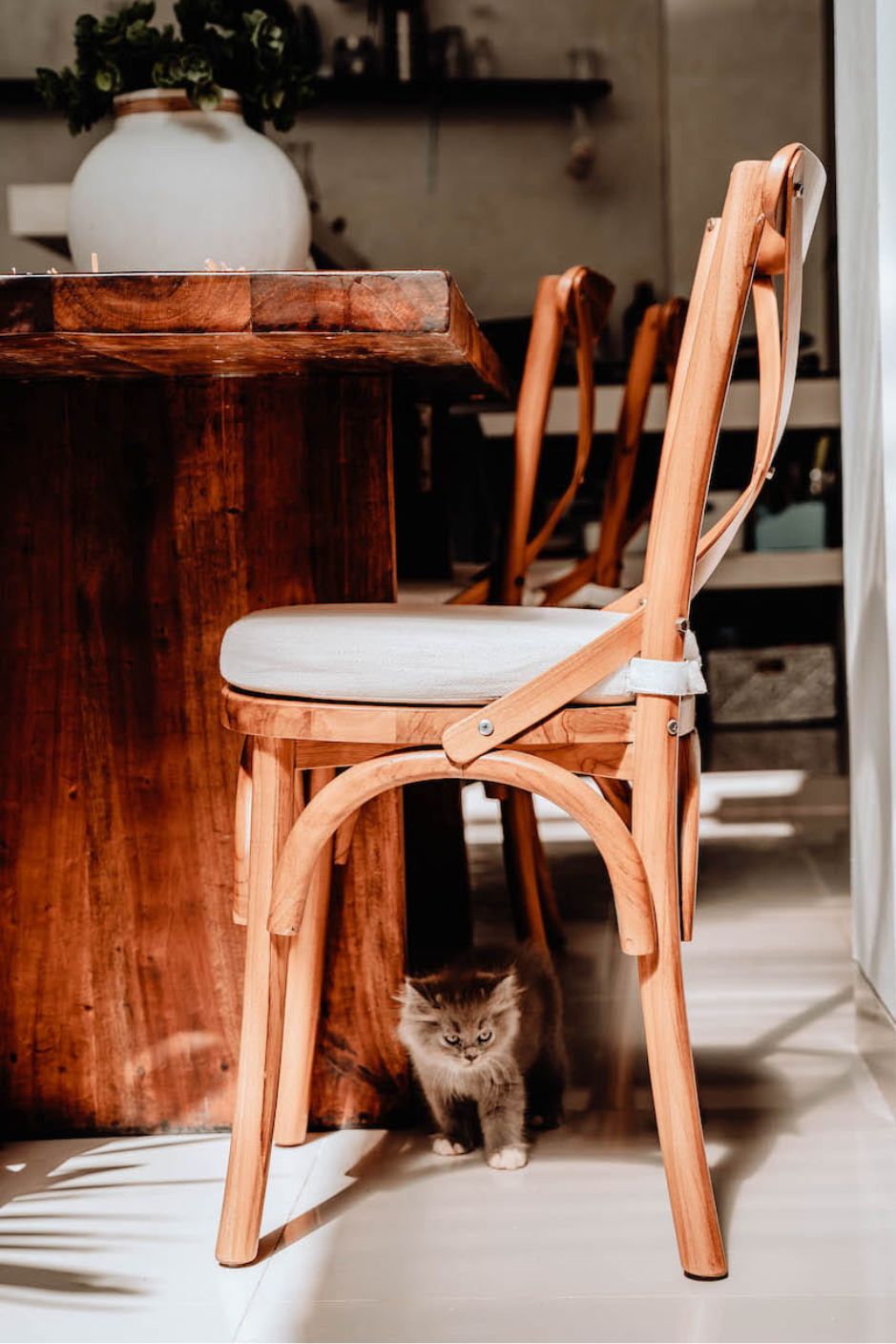 Tika Chair handmade from solid teak wood with ecru seat cushion, vintage-inspired design perfect for boho, retro, or classic living rooms, dining areas, kitchens, and bedrooms in Australian homes